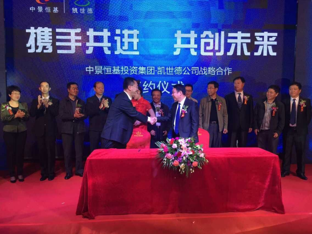 凱世德公司股權(quán)托管項目_