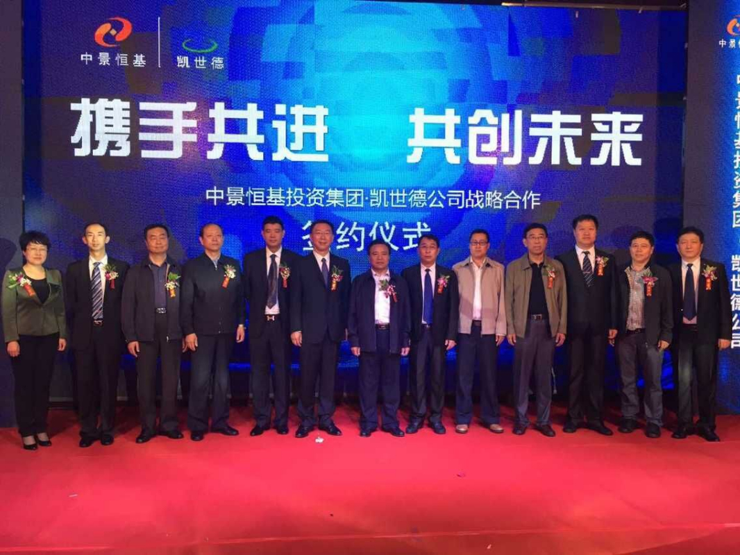 凱世德公司股權(quán)托管項目_