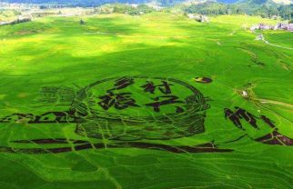 助力鄉(xiāng)村振興、推進(jìn)合作新模式