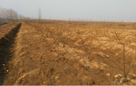 1623161929143969.png 1623161929143969.png