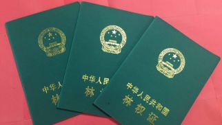 中景農(nóng)科公司逐步規(guī)范現(xiàn)代化農(nóng)業(yè)體系