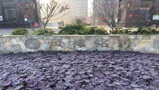 鳳祥銘居二期順利交房，業(yè)主喜獲新居