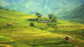 肖厚忠董事長與贛榆區(qū)及塔山鎮(zhèn)政府領(lǐng)導(dǎo)到中景農(nóng)科調(diào)研