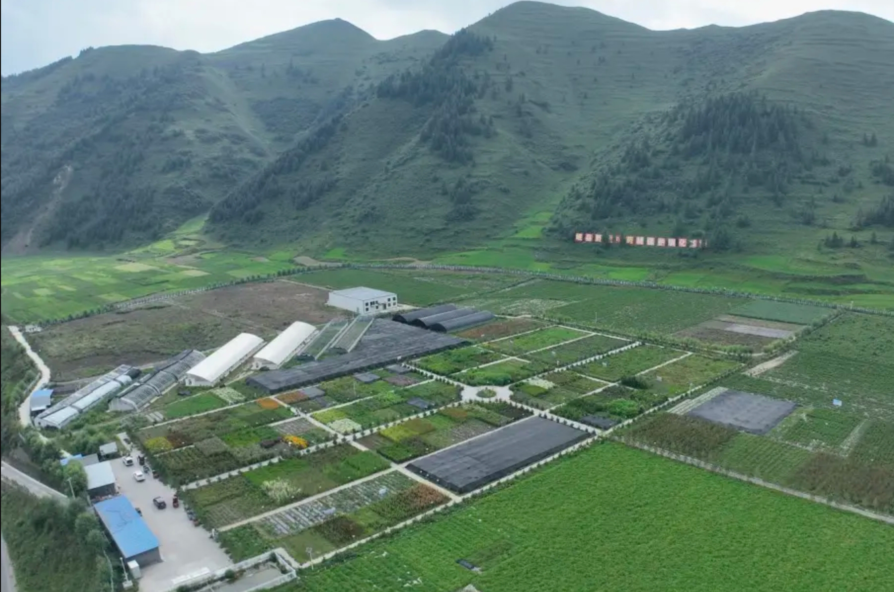 1724753450751022.jpg 1724753450751022.jpg