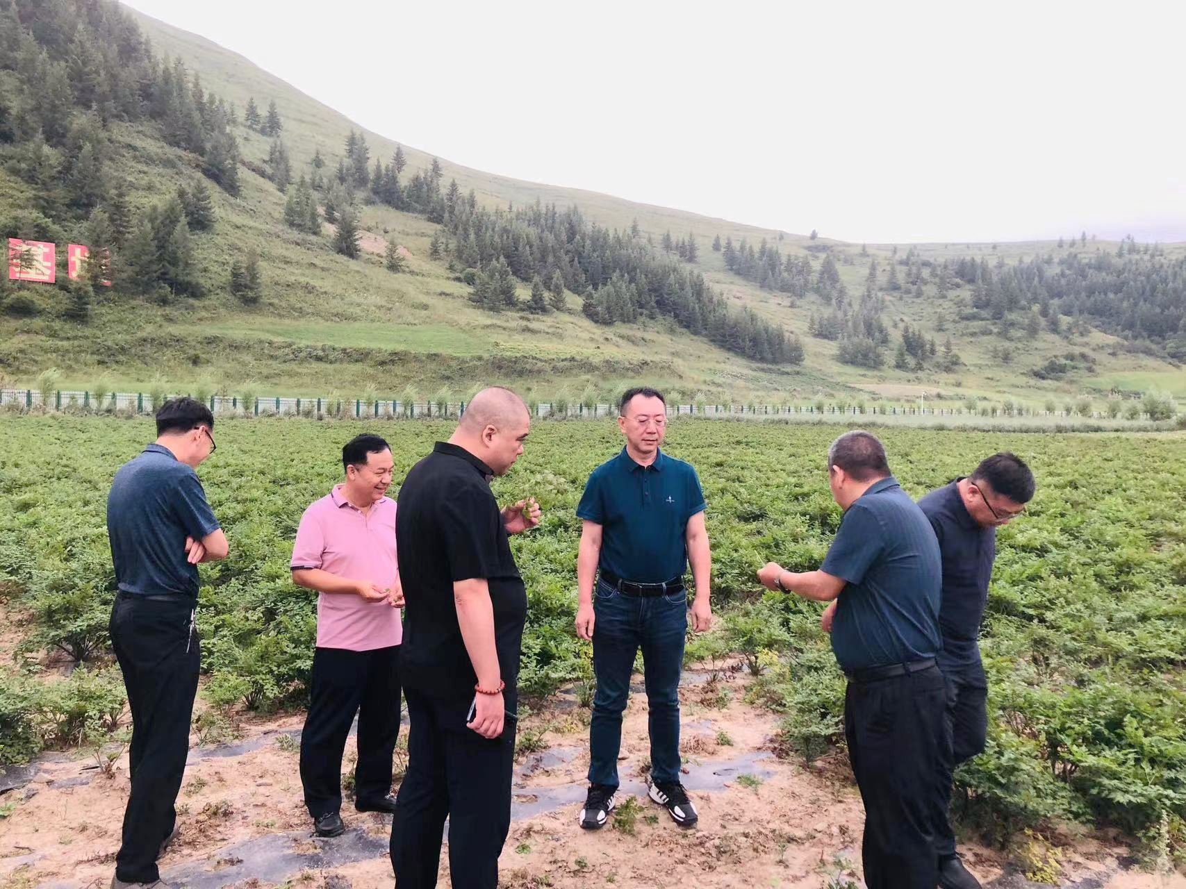 1724753588844509.jpg 1724753588844509.jpg